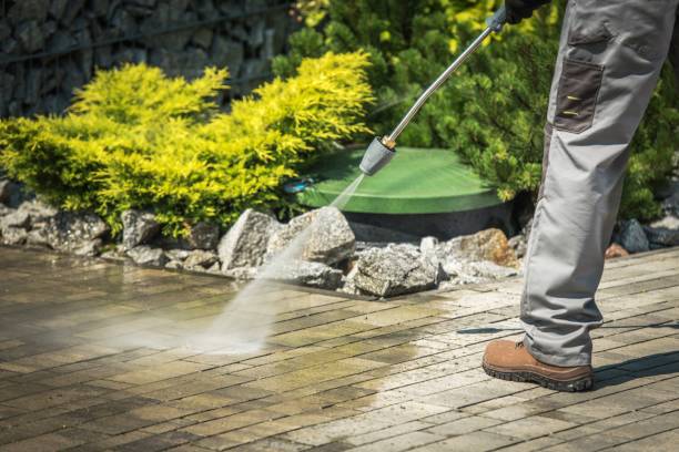 Best Dumpster Area Cleaning  in Palm Springs North, FL