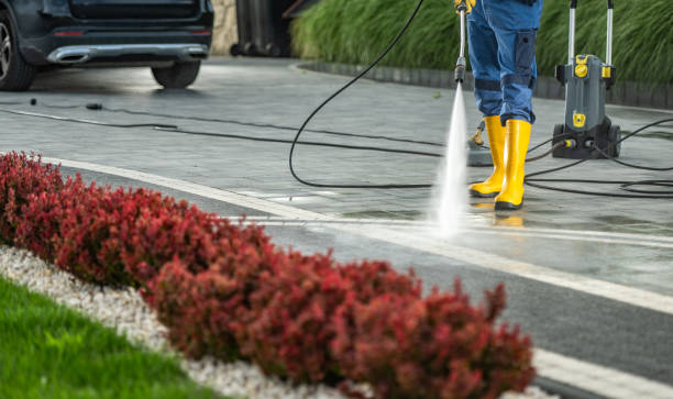 Best Solar Panel Cleaning  in Palm Springs North, FL